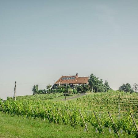 Taverna & Wine Jeruzalem Ivanjkovci Exteriér fotografie