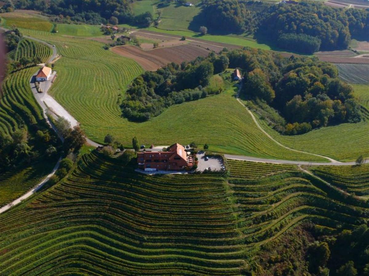 Taverna & Wine Jeruzalem Ivanjkovci Exteriér fotografie