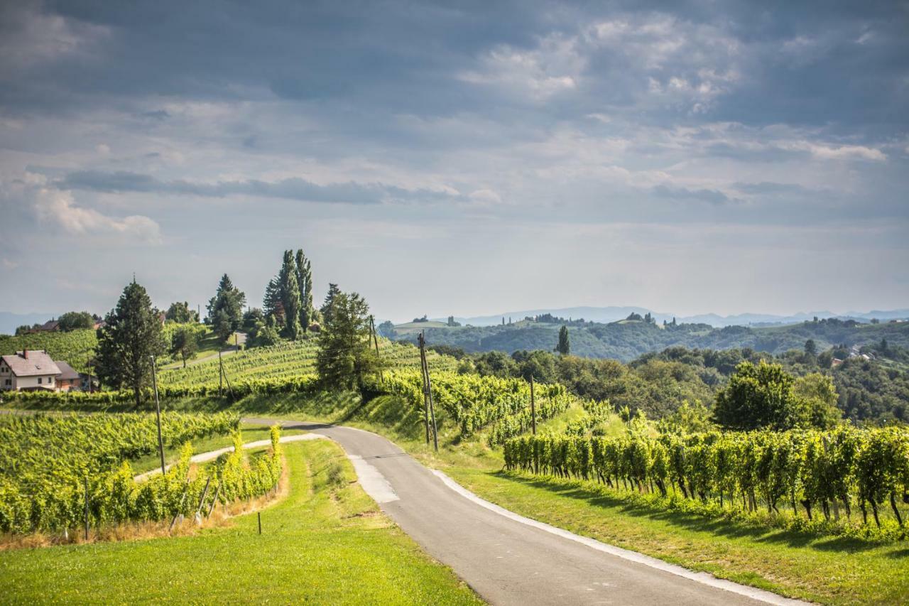Taverna & Wine Jeruzalem Ivanjkovci Exteriér fotografie