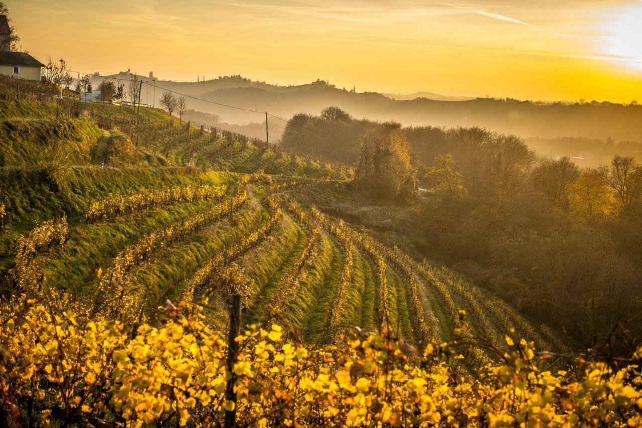 Taverna & Wine Jeruzalem Ivanjkovci Exteriér fotografie