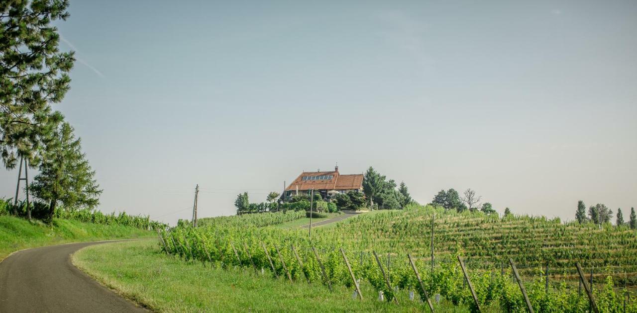 Taverna & Wine Jeruzalem Ivanjkovci Exteriér fotografie